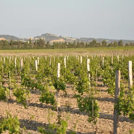 Hébergement de vacances Les Fenals Fitou